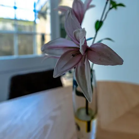 Quiet Garden View Flat With Free Parking *